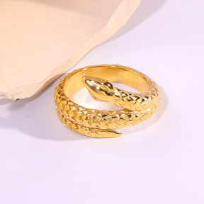 6R2001562bbov-334  Stainless Steel Ring