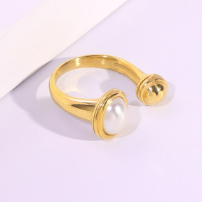 6R2001627bbov-334  Stainless Steel Ring