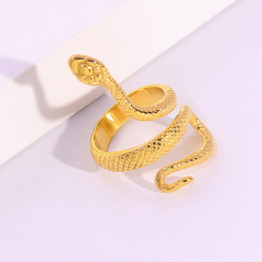 6R2001674vbnb-334  Stainless Steel Ring