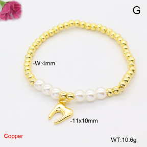 F6B301339ablb-L017  Fashion Copper Bracelet