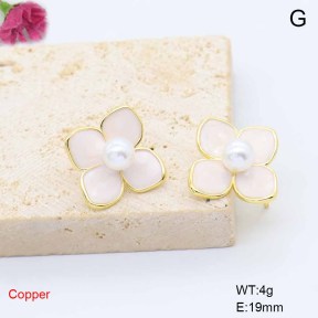 F6E302171ablb-L017  Fashion Copper Earrings