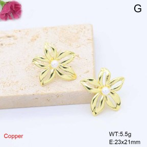 F6E302172baka-L017  Fashion Copper Earrings