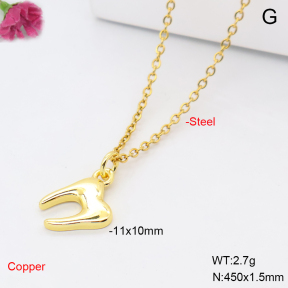F6N201267vail-L017  Fashion Copper Necklace