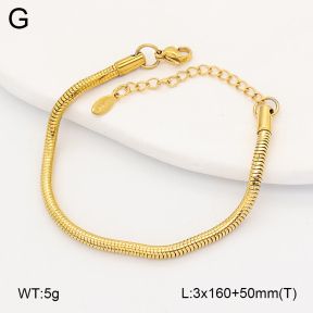 2B2005661ablb-775  Stainless Steel Bracelet