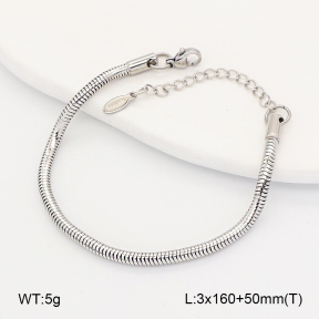 2B2005662baka-775  Stainless Steel Bracelet