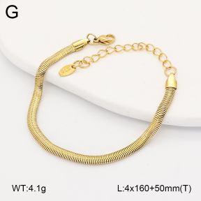 2B2005667vbnb-775  Stainless Steel Bracelet