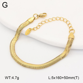 2B2005669vbnb-775  Stainless Steel Bracelet