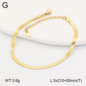 2B2005673aakl-775  Stainless Steel Bracelet
