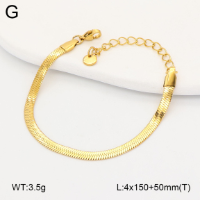 2B2005675aakl-775  Stainless Steel Bracelet