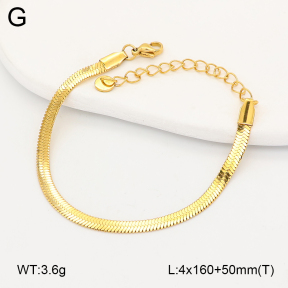 2B2005676aakl-775  Stainless Steel Bracelet