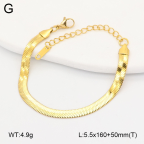 2B2005677vbll-775  Stainless Steel Bracelet