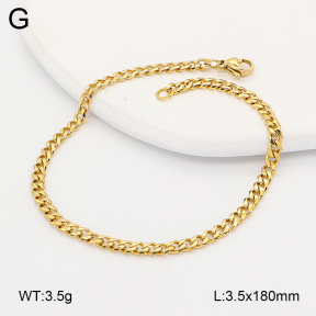 2B2005708ablb-775  Stainless Steel Bracelet