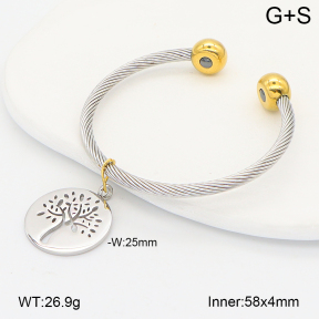2BA202670ahlv-722  Stainless Steel Bangle