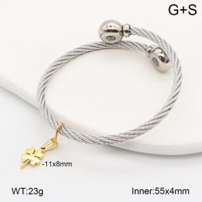 2BA202675bhia-722  Stainless Steel Bangle