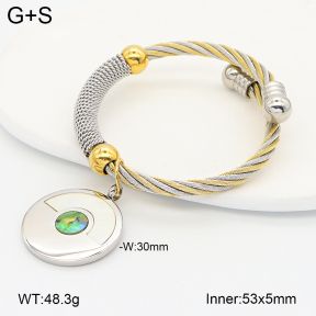 2BA300682vhov-722  Stainless Steel Bangle