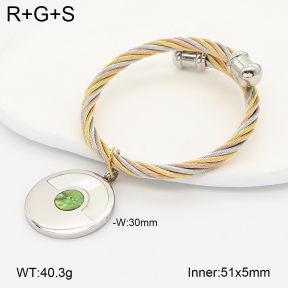 2BA300683vhkb-722  Stainless Steel Bangle