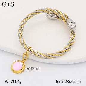 2BA402901vhkb-722  Stainless Steel Bangle