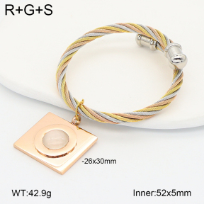 2BA402903vhkb-722  Stainless Steel Bangle