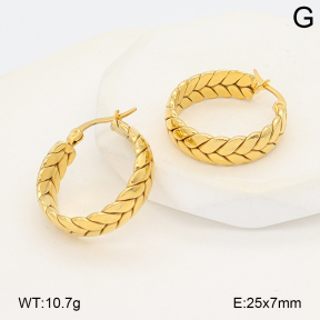 2E2007060vbll-656  Stainless Steel Earrings