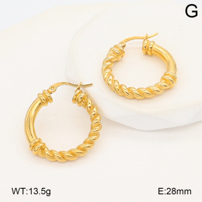 2E2007061bvpl-656  Stainless Steel Earrings