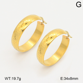 2E2007062bbov-656  Stainless Steel Earrings