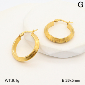 2E2007063bbml-656  Stainless Steel Earrings