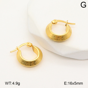 2E2007064vbll-656  Stainless Steel Earrings