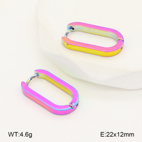 2E2007067baka-656  Stainless Steel Earrings