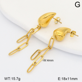 2E2007082aakl-698  Stainless Steel Earrings
