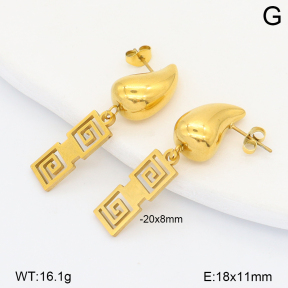 2E2007084aakl-698  Stainless Steel Earrings