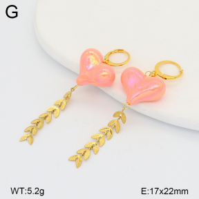 2E3004096baka-698  Stainless Steel Earrings
