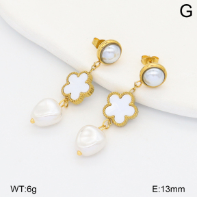2E3004097baka-698  Stainless Steel Earrings