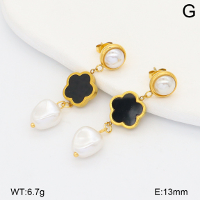 2E3004098baka-698  Stainless Steel Earrings