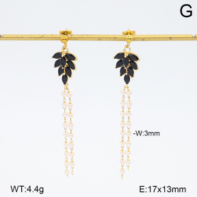2E3004099baka-698  Stainless Steel Earrings