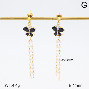 2E3004100baka-698  Stainless Steel Earrings