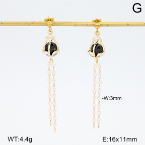 2E3004101baka-698  Stainless Steel Earrings