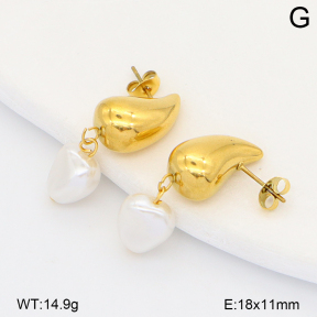 2E3004102baka-698  Stainless Steel Earrings