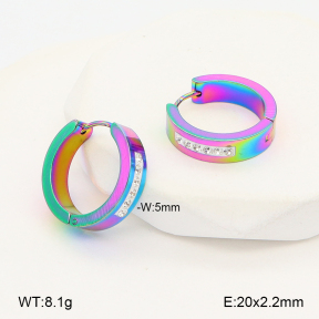 2E4005102aaki-656  Stainless Steel Earrings