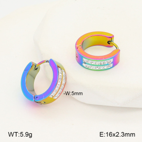 2E4005103aakl-656  Stainless Steel Earrings