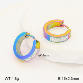 2E4005104aaki-656  Stainless Steel Earrings