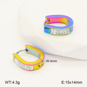 2E4005105aakl-656  Stainless Steel Earrings