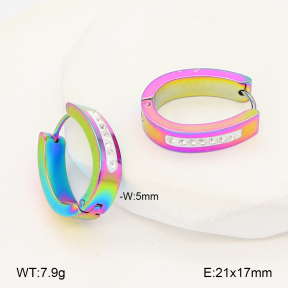2E4005106aaki-656  Stainless Steel Earrings