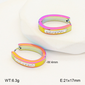 2E4005107aaki-656  Stainless Steel Earrings