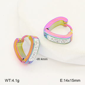 2E4005108aaki-656  Stainless Steel Earrings