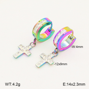 2E4005109aakl-656  Stainless Steel Earrings