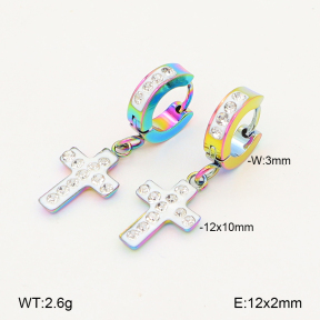 2E4005110aakl-656  Stainless Steel Earrings