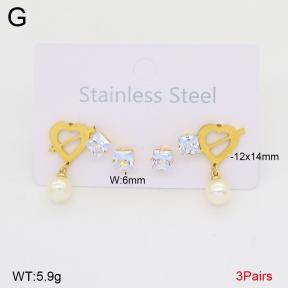 2E4005125avja-698  Stainless Steel Earrings