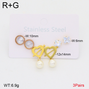 2E4005127ablb-698  Stainless Steel Earrings