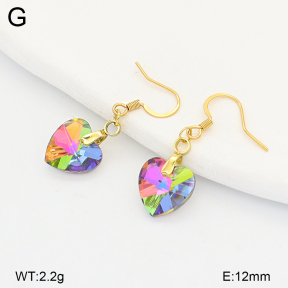 2E4005135aajo-698  Stainless Steel Earrings