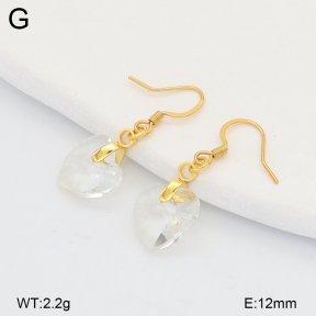 2E4005136aajo-698  Stainless Steel Earrings